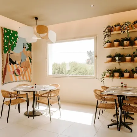 Soko Hotels-pont Du Gard 4* Ремулен