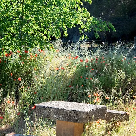 Hotel Soko Hotels-pont Du Gard 4*