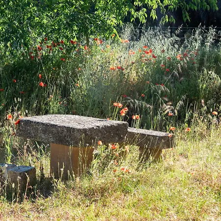 Soko Hotels-pont Du Gard Hotel Remoulins