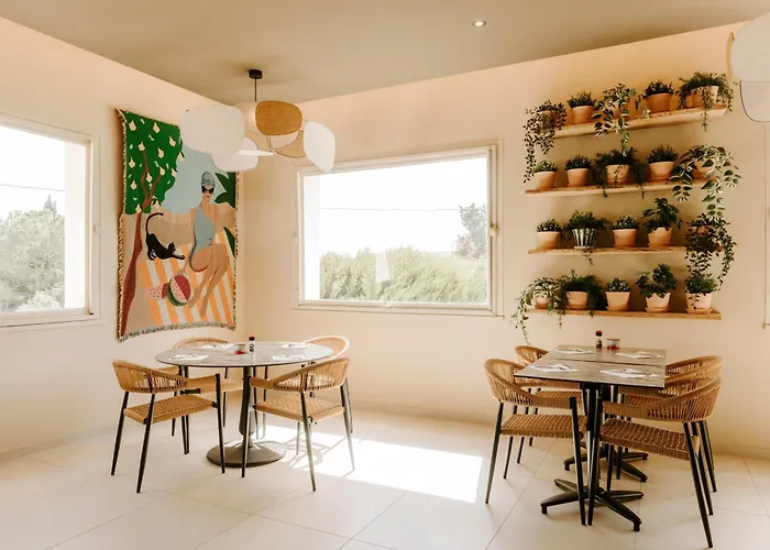 Soko Hotels-pont Du Gard 4* Remoulins