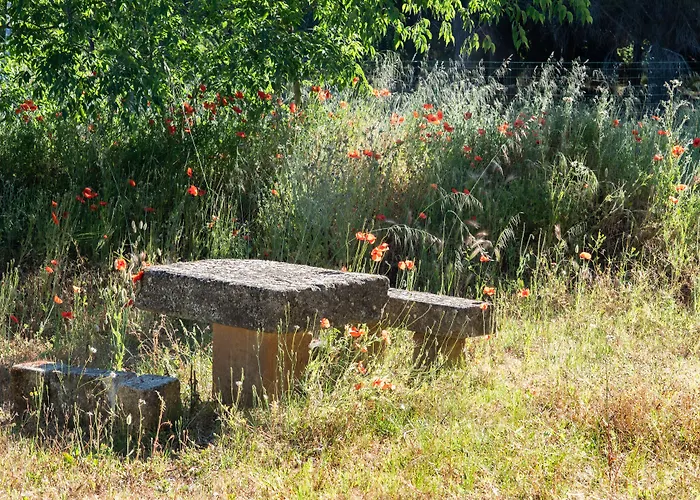 Soko Hotels-pont Du Gard Hotel Remoulins
